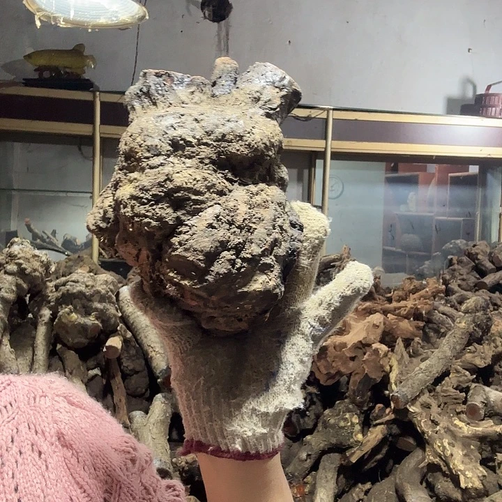 无***西香榧木火琉璃的故事是一个