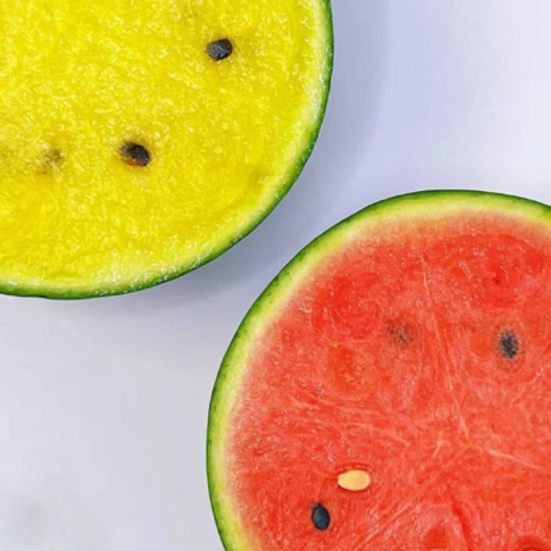 新疆吐鲁番大棚双拼小西瓜 皮薄高糖 新疆直发京东