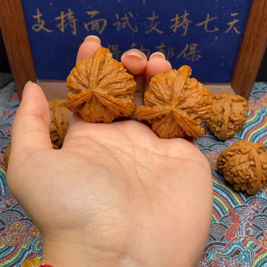 【闪购商品】安*'白狮