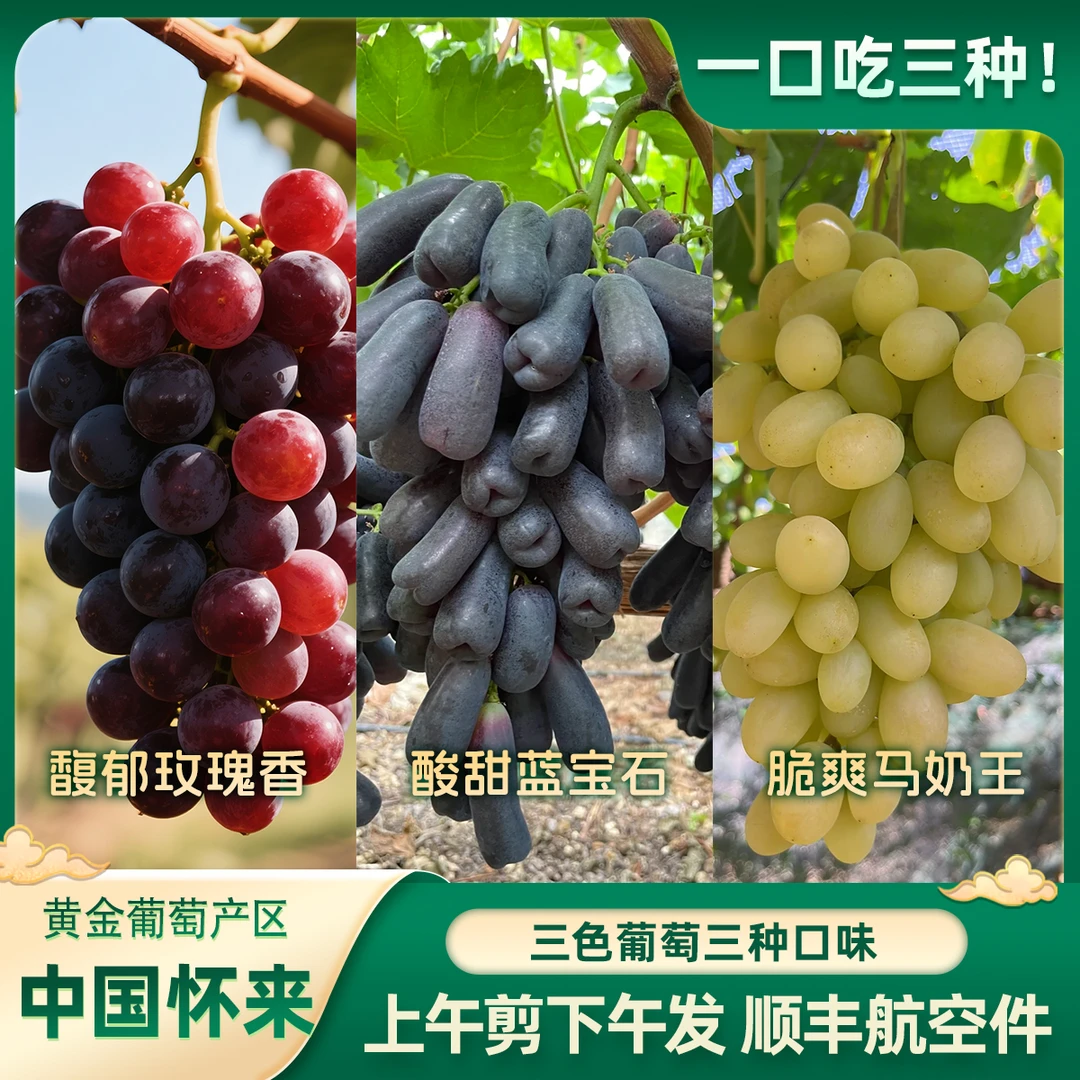 「一口吃三种」花香宝石组合玫瑰香蓝宝石马奶王怀来葡萄顺丰航空件