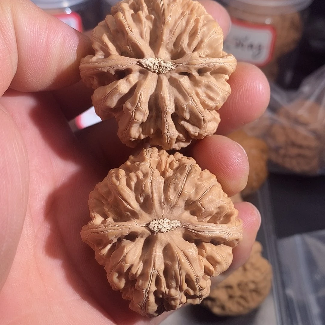 文玩核桃把件。***。粗筋44全品