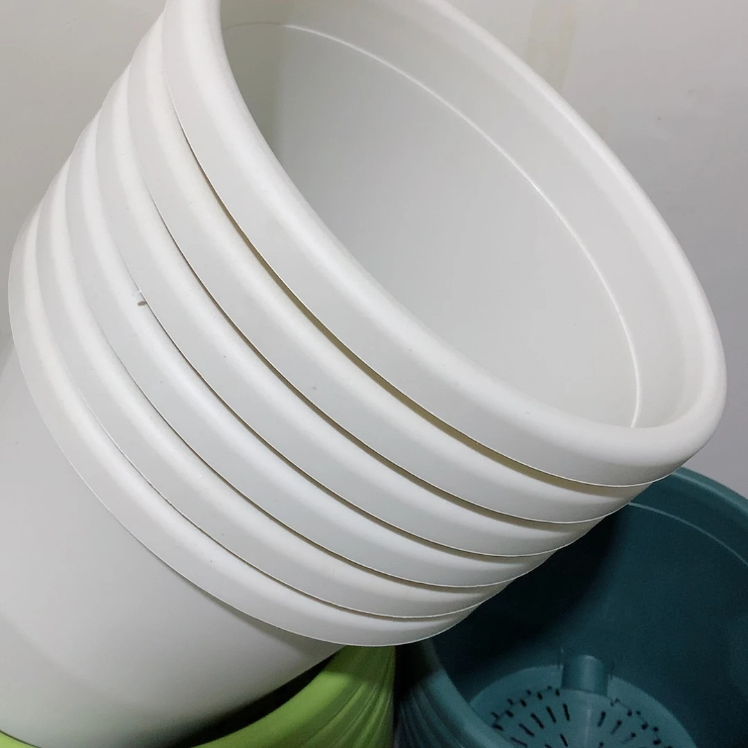 树脂四季口29白6个无托