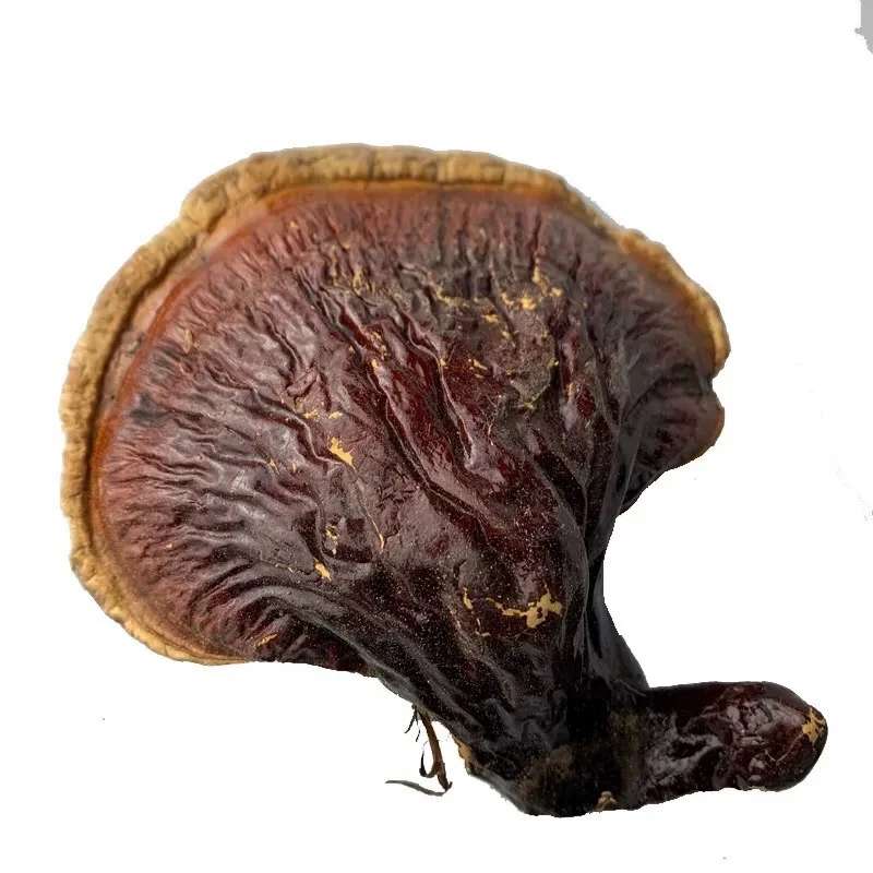 大山小敏【松杉白肉灵之】正宗山货干货松杉白肉灵之正品口感回甘甜