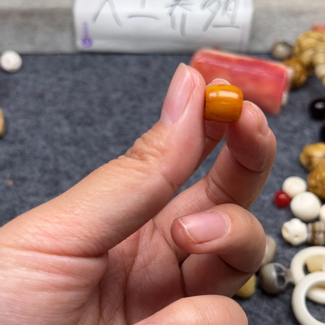 鹿骨其他用****4人工养殖驼骨23