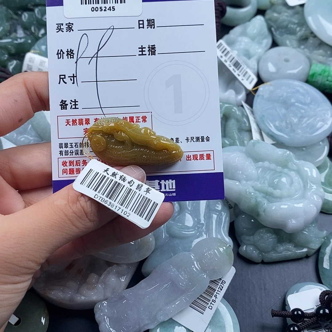 颈饰未镶嵌翡翠005245