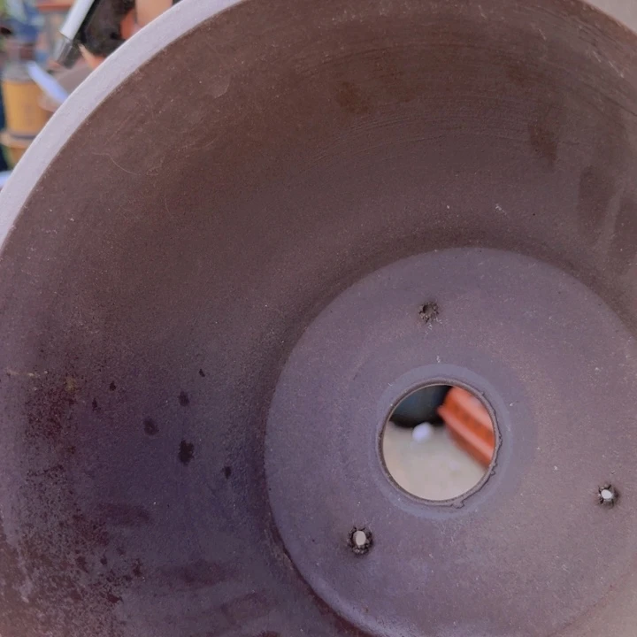 花盆紫砂花盆紫砂黄色金钟25+25