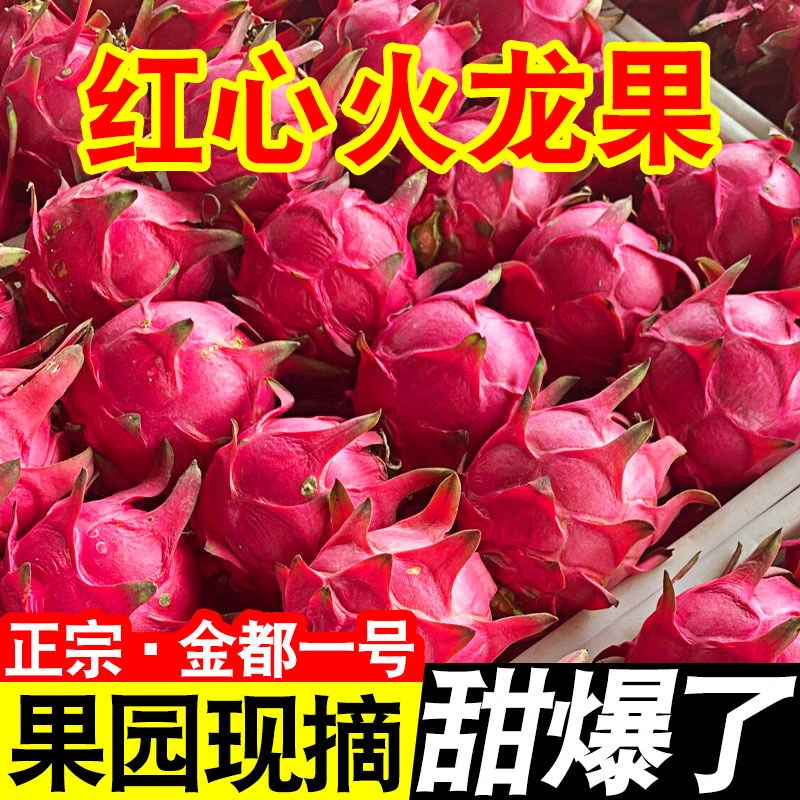 【正宗】广西金都一号红心火龙果5斤皮薄肉厚香甜汁水多孕妇