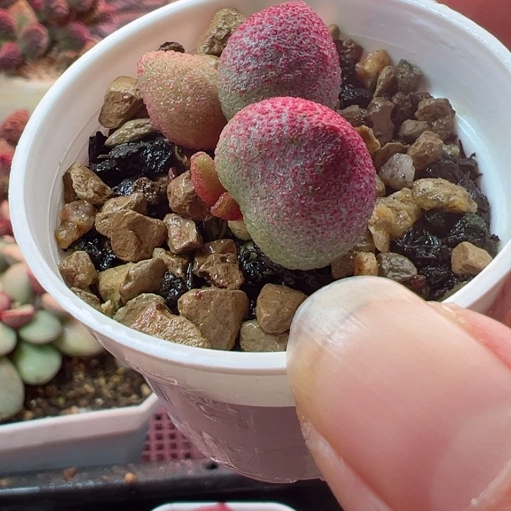 一***～可以说我很喜欢看这段视频