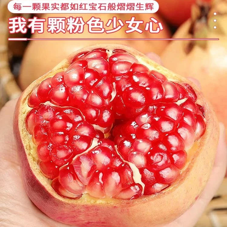 突尼斯软籽石榴新鲜水果当季整箱包邮5斤无籽四川会理石榴x4