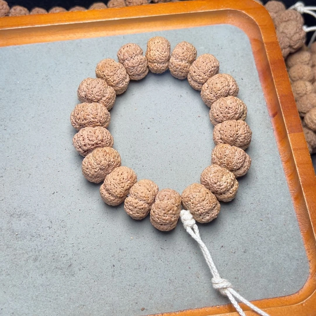 菩提25号金刚菩提夹板菠萝蜜22超头