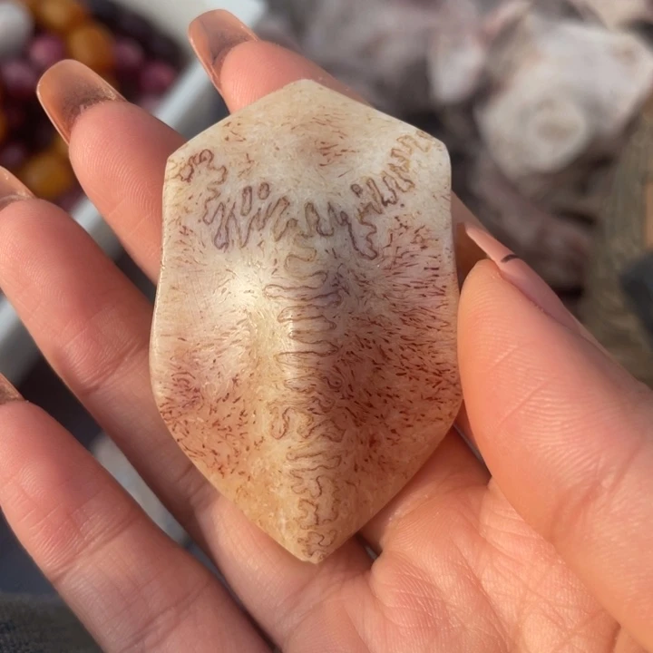 养殖鹿骨三界牌子