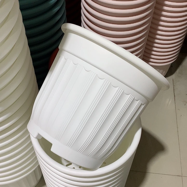 罗马口28白4个无托
