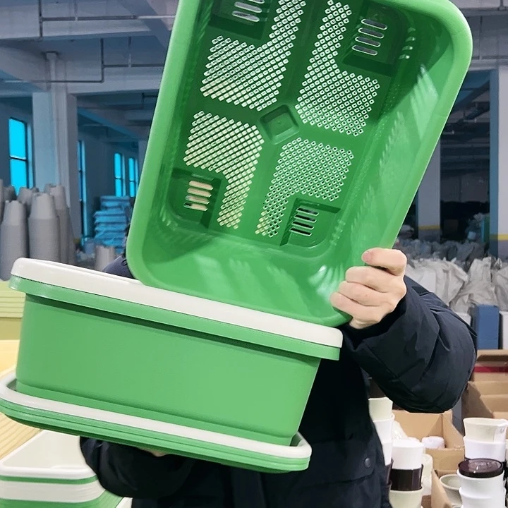 特价小菜盆长38.5宽29高14.5果绿带托3只