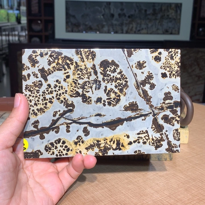 ，广西国画石摆件，收藏观赏