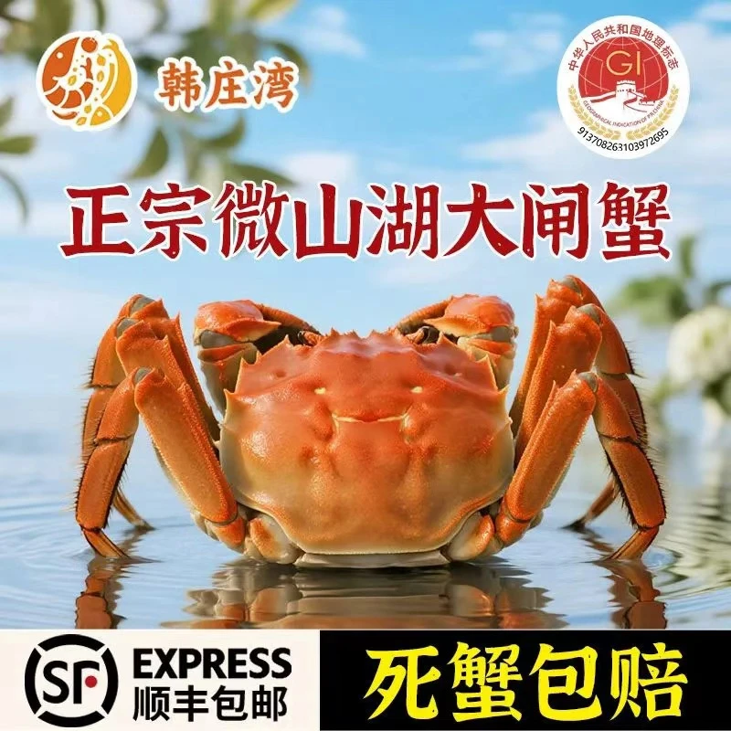韩庄湾【活蟹】微山湖大闸蟹3.0两-2.7两8/10只全母蟹正宗大闸蟹