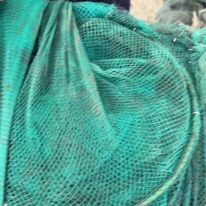 大***帝虾笼25820585504848