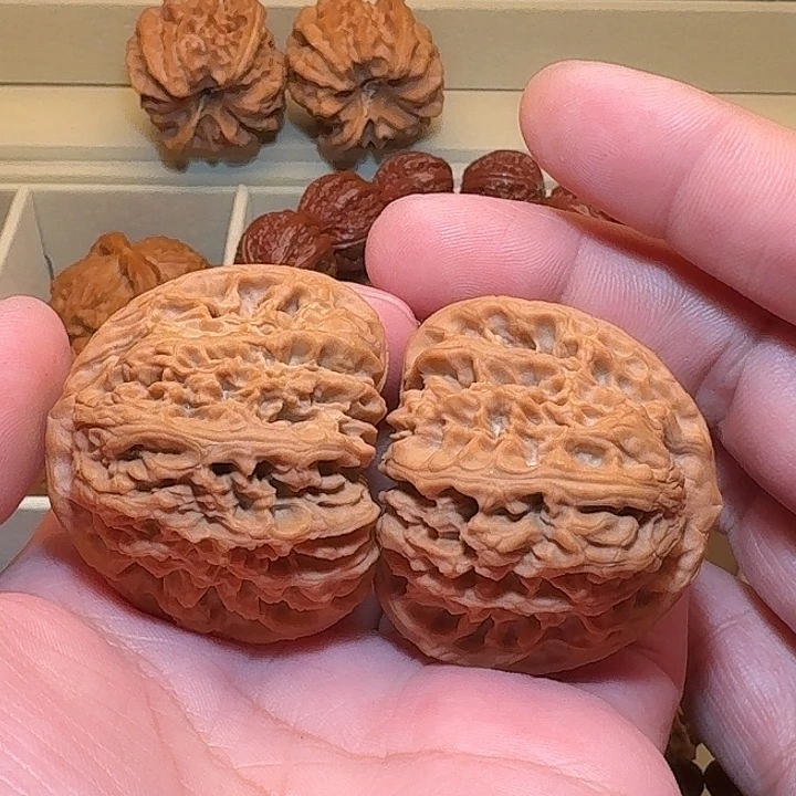 全品精配尺寸44南疆毕业级