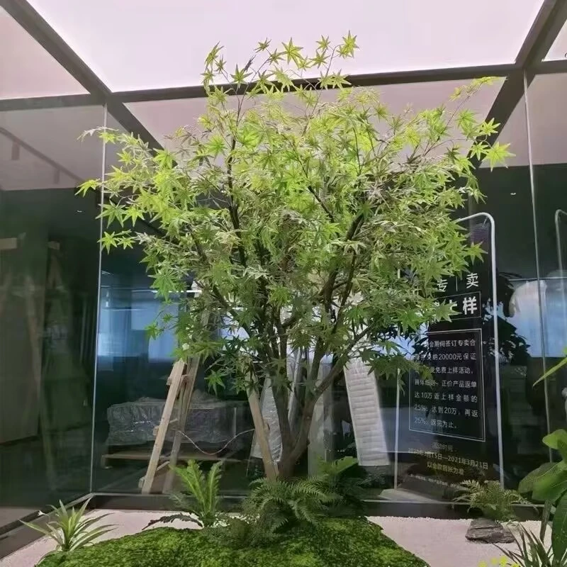 一物一拍鸡爪槭南北方庭院盆栽观赏植物