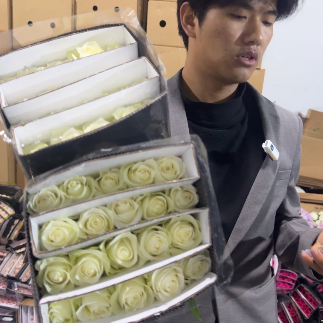 骄傲2扎包邮价秒杀