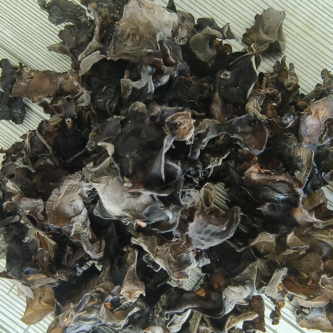 野生柞木椴木耳厚实Q弹软糯单片无根干净无沙