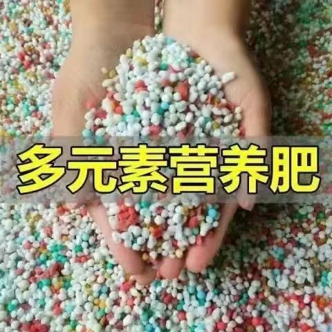 高效有机肥农用肥料环保生物肥料