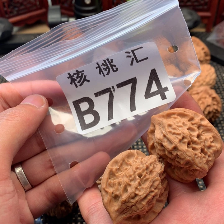 文玩核桃吊坠白蛇骨
