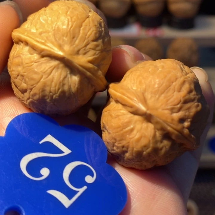 2号链接铁珍珠32尺寸