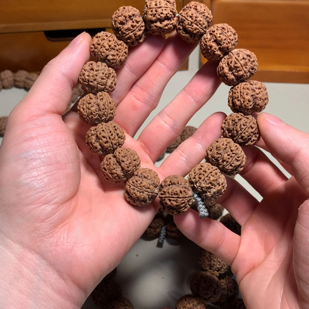 20尺寸梅花蜂王大金刚
