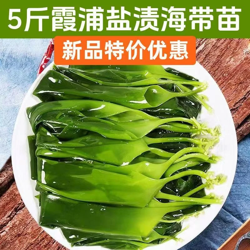 【五斤】霞浦海带嫩苗嫩芽凉拌盐渍新鲜凉拌菜好吃麻辣烫火锅食材