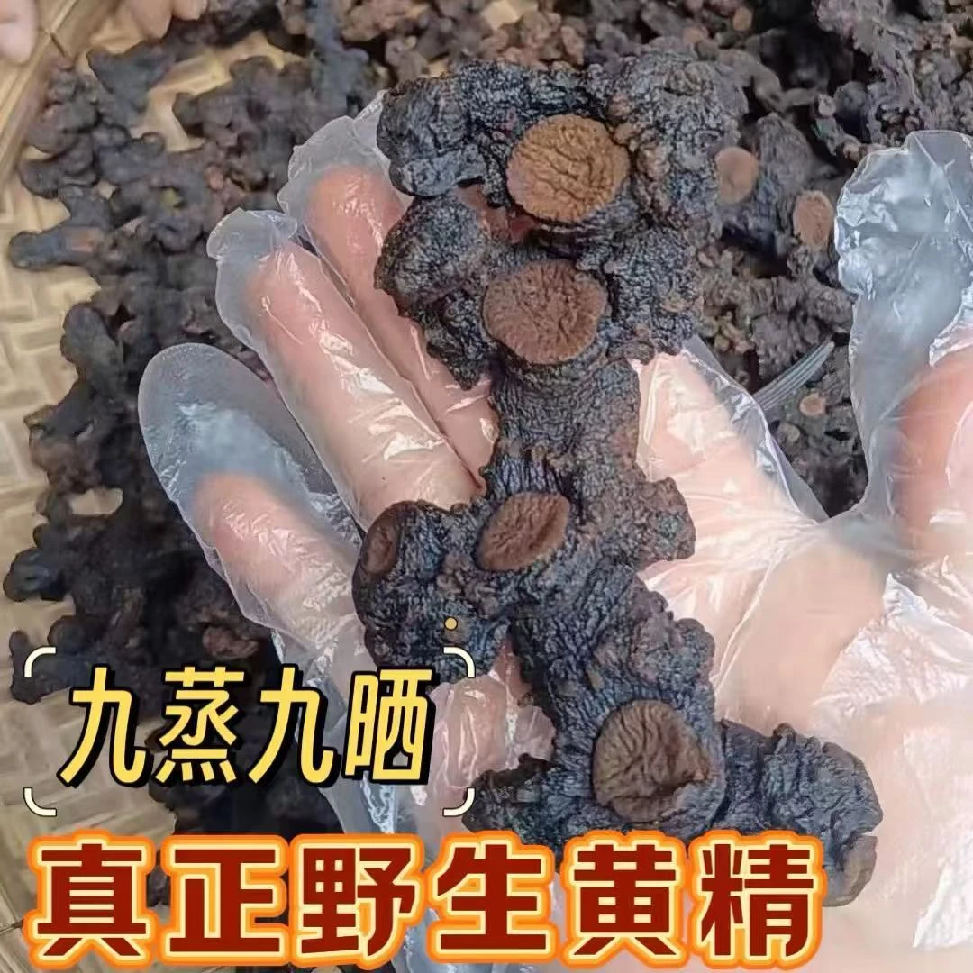 太行山多花黄精，九蒸九晒