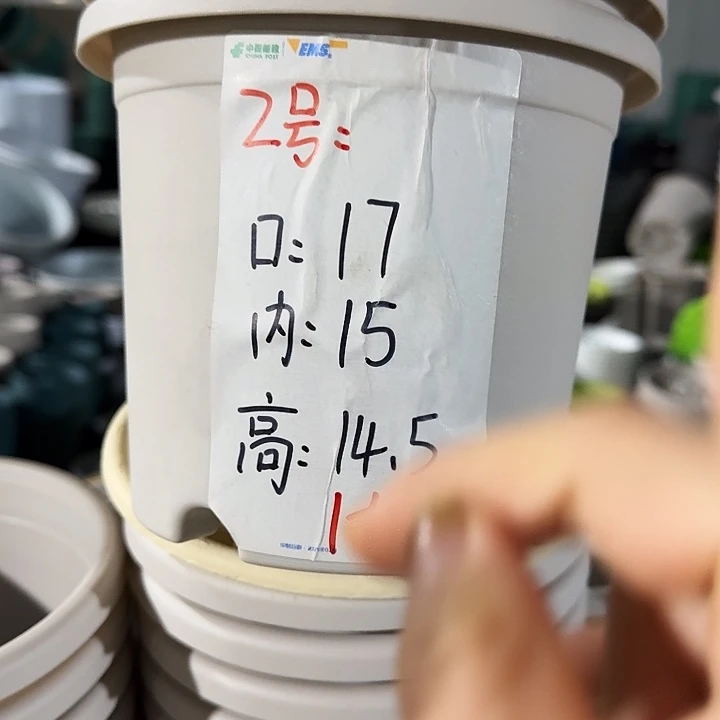 四季2号灰白无托10个特价