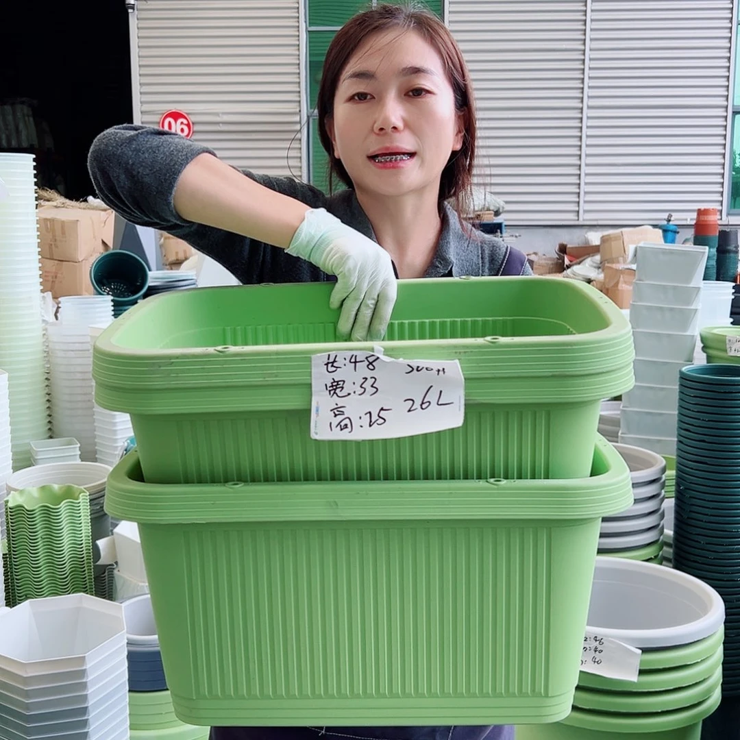 菜盆500#果绿3个无托