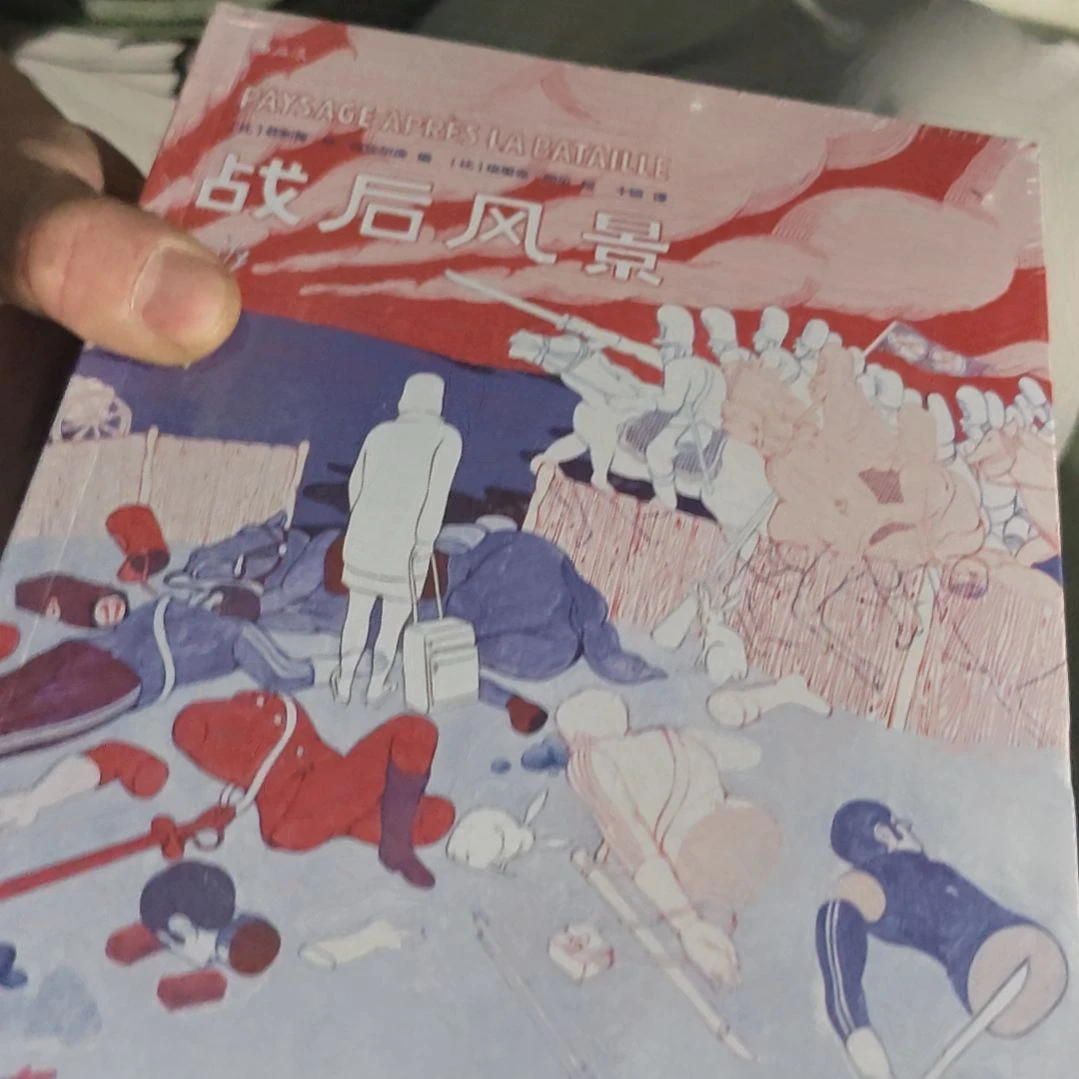 战后风景平装塑封库存书