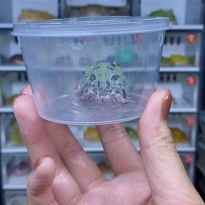 特价秒杀现货特价