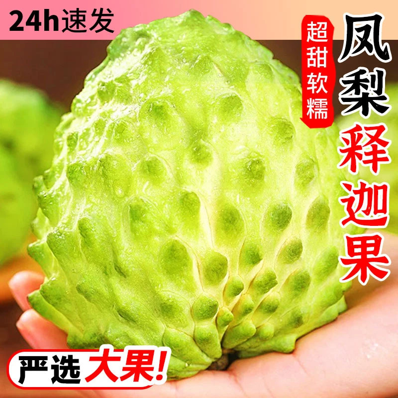 【释迦果】【3.7斤】现摘新鲜水果释迦摩尼果林檎果孕妇当季