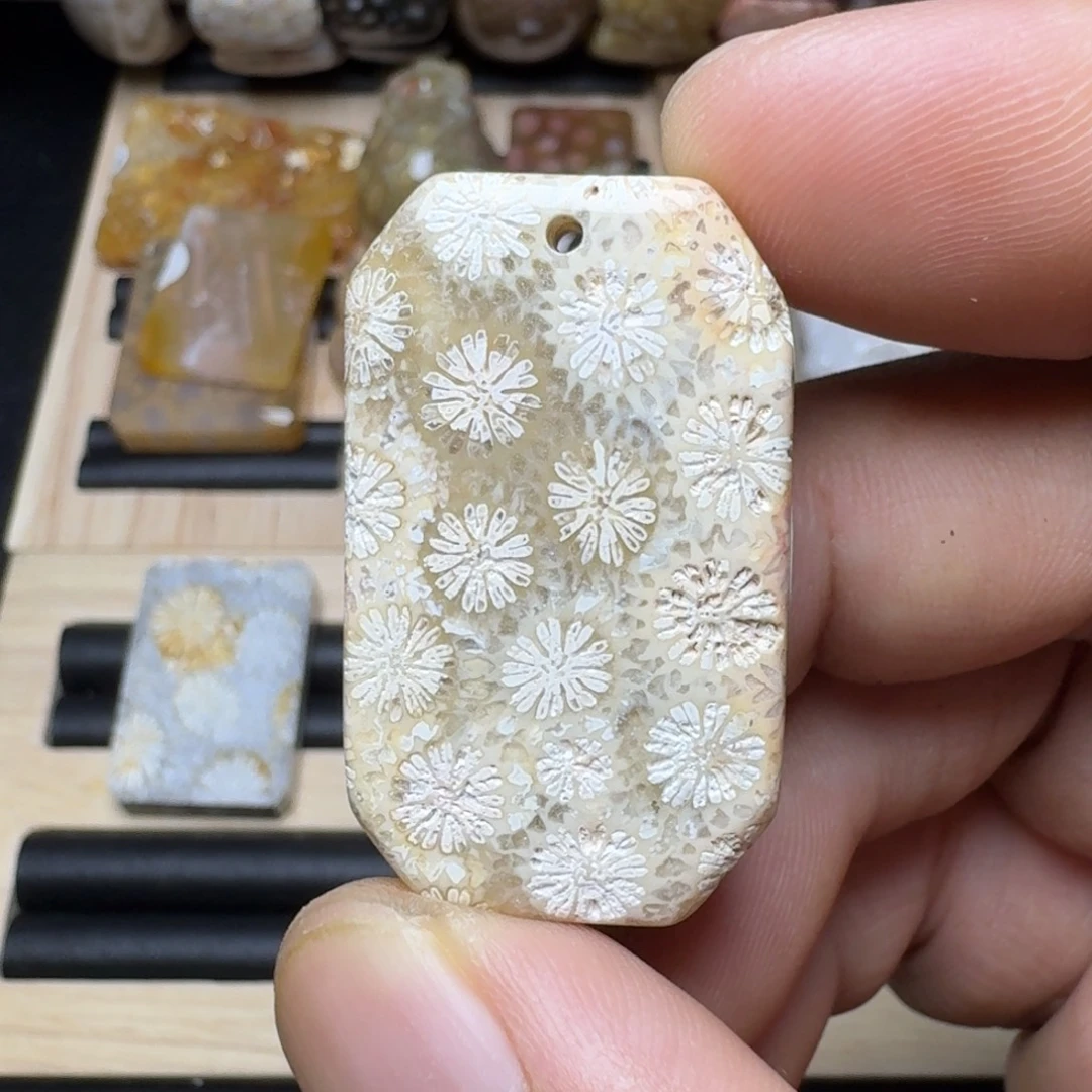 未镶嵌纯天然色有机玉石保真色硅化玉