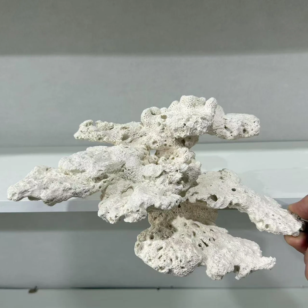 海之皇 陶瓷高透水悬浮海缸造景装饰鱼缸摆件免暴藻死石珊瑚造景