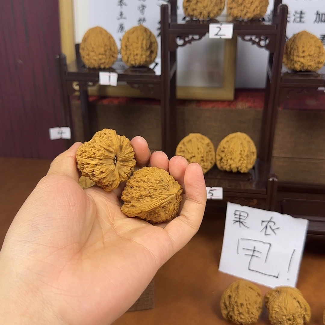 大叶紫檀（黑酸枝木类）