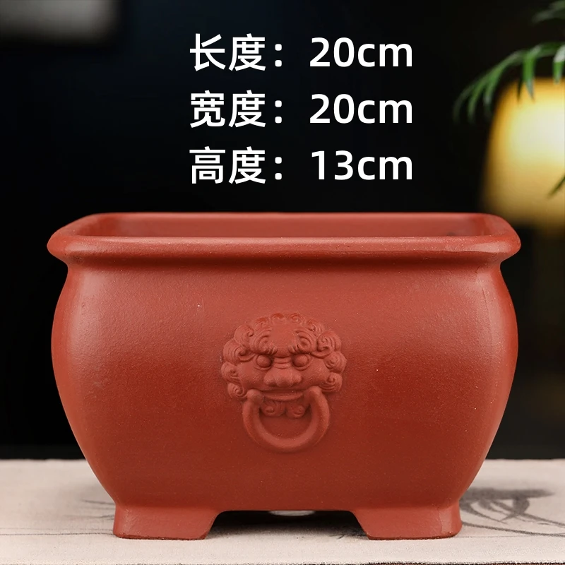紫砂花盆小叶紫檀金弹子多肉文竹室内桌面简约精品微型陶瓷盆景盆