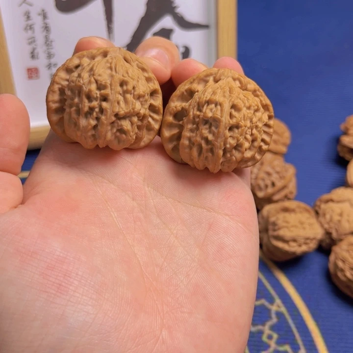 白狮子41尺全品三角