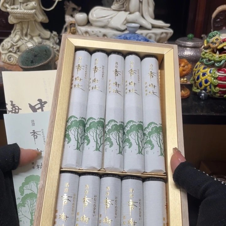 紫砂一路向阳而生