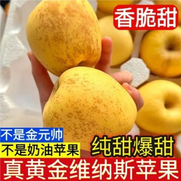 山东维纳斯黄金苹果新鲜水果当季丑苹果雀斑女神现摘脆甜多汁纯甜