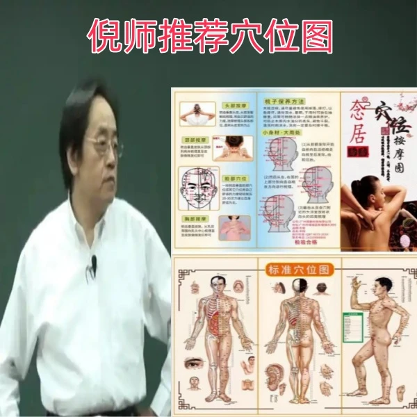 倪老师推荐穴位图包含学习资料