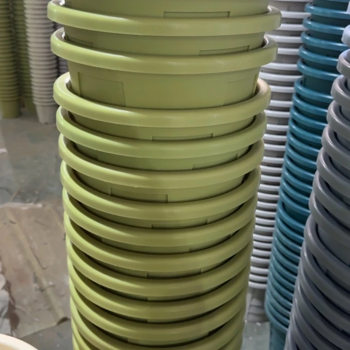 编号编号编号801