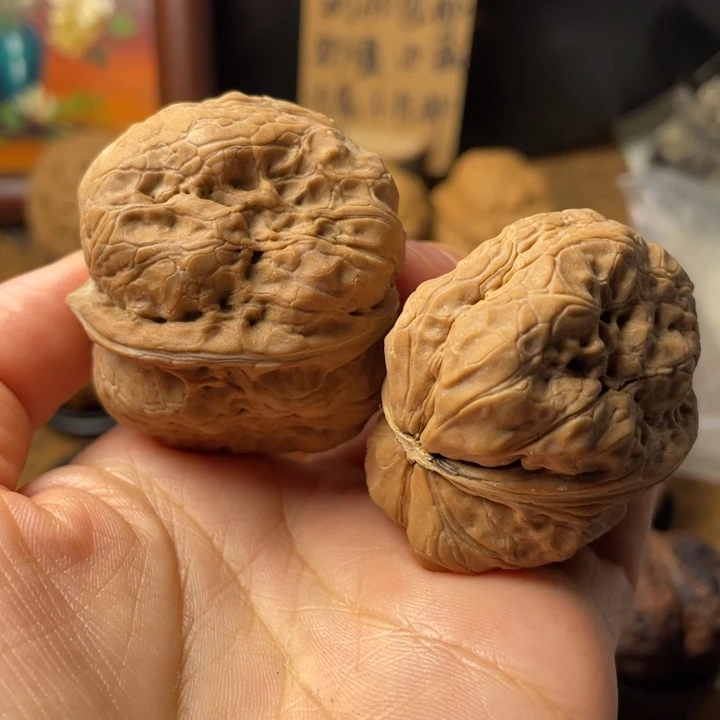 用***5云南野生铁核桃编号42