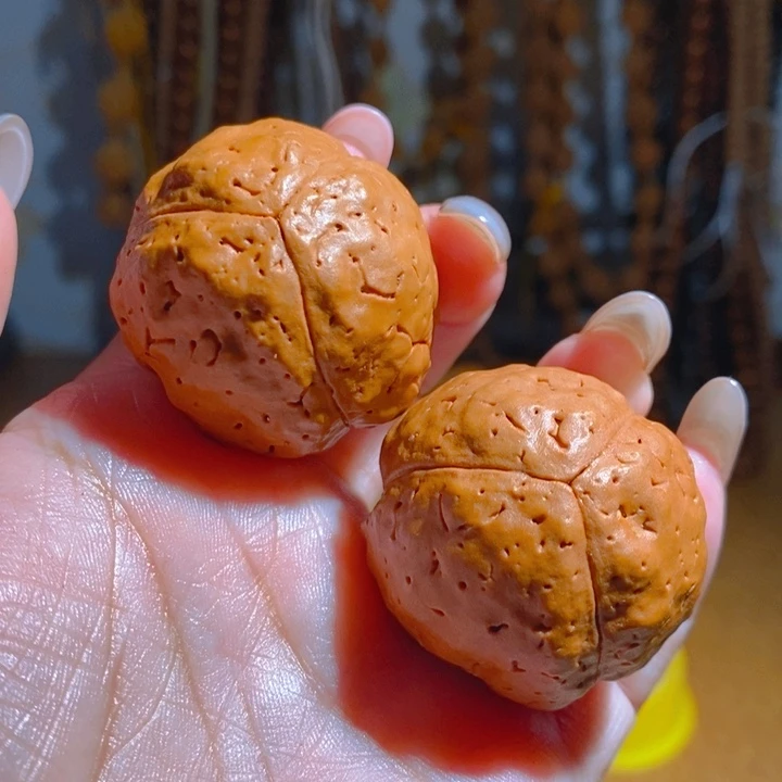 野生三瓣大金刚光头强3742