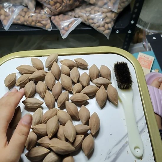 吴***德吊坠橄榄核1920尺寸散籽