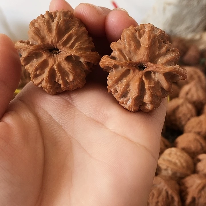 吊坠桃核飞**?老树苹果狮子头