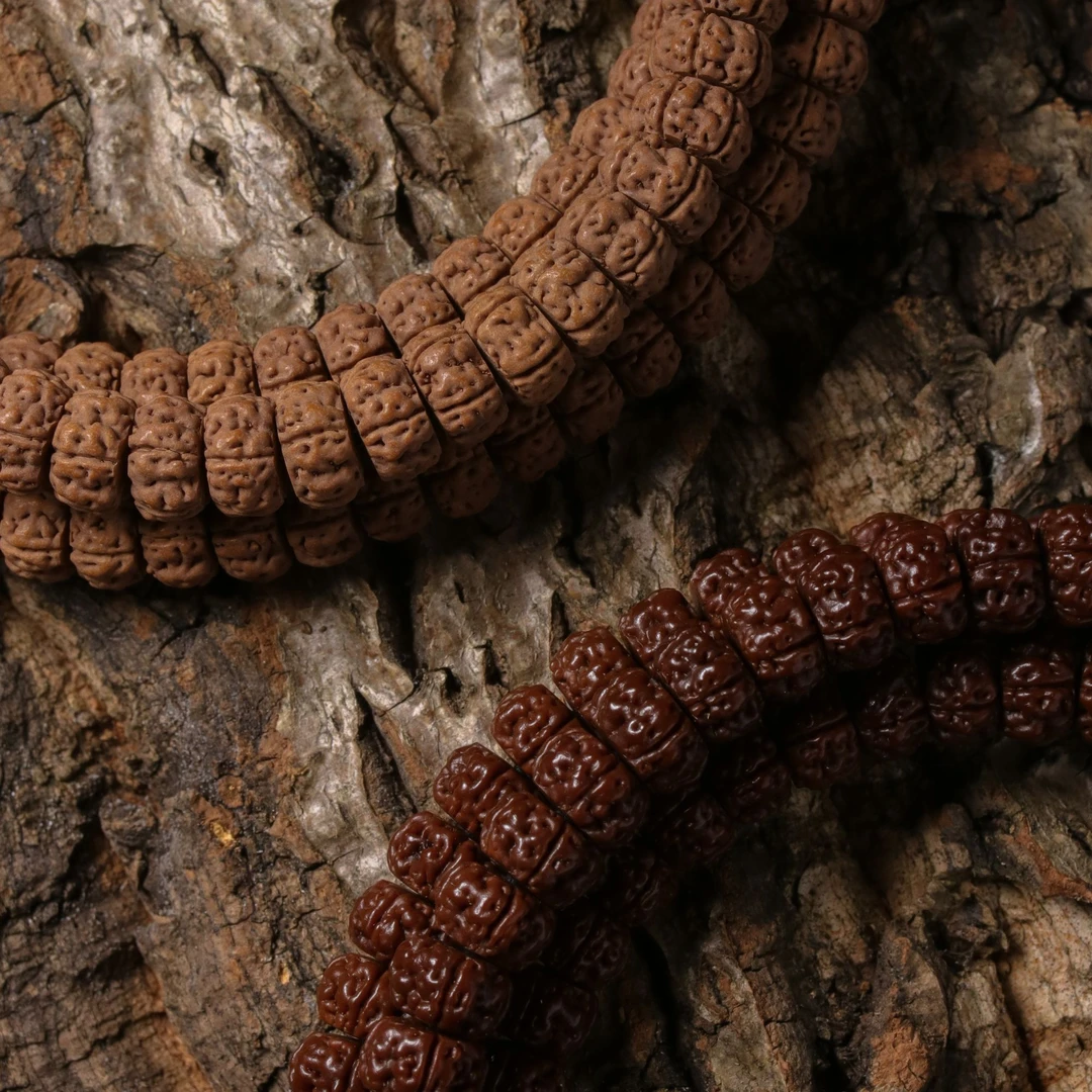 【龙切树王】2024绝版天花板肉度精工薄切树王小金刚菩提手持长串