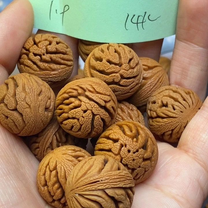 吊坠桃核秦岭龙纹桃核19尺寸